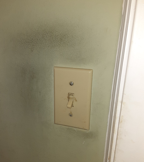 extensive hand oil marks on the paint around a
                    light switch.