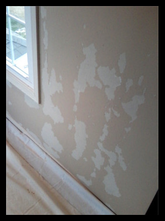 Shows how
                          much damage wallpaper can cause to walls.