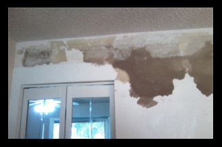 This shows that you can't see a lot of
                          the problems or repairs needed behind the
                          wallpaper.